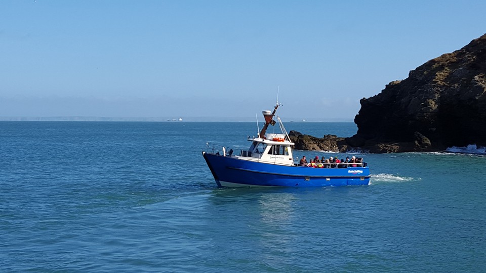 Skomer Open for 2016 Season!